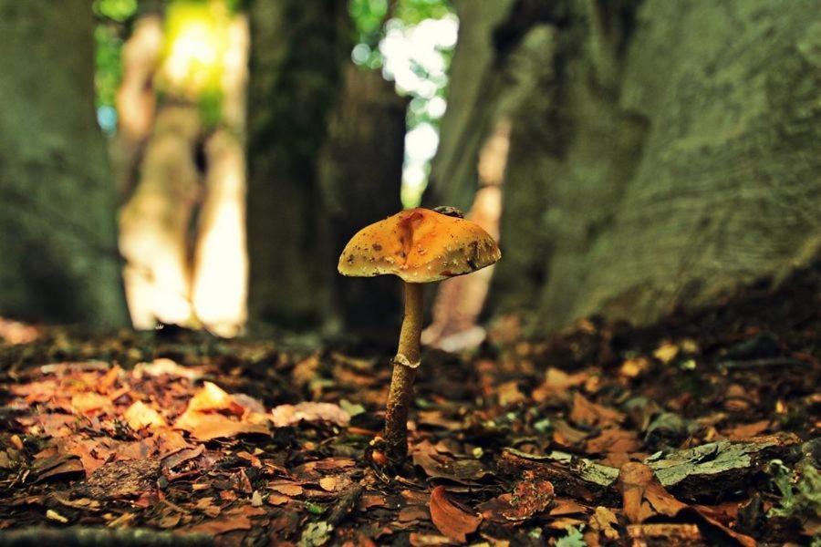 ホテルOmilaia Gardiki エクステリア 写真