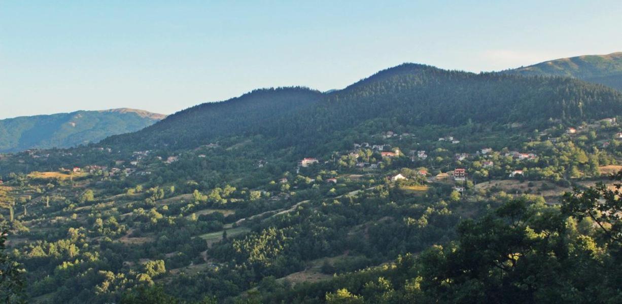 ホテルOmilaia Gardiki エクステリア 写真