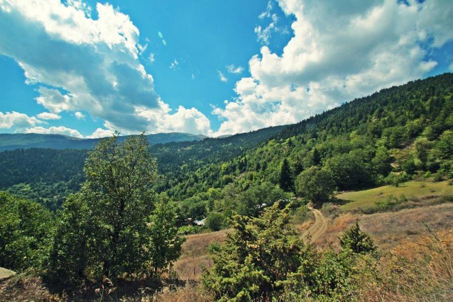 ホテルOmilaia Gardiki エクステリア 写真