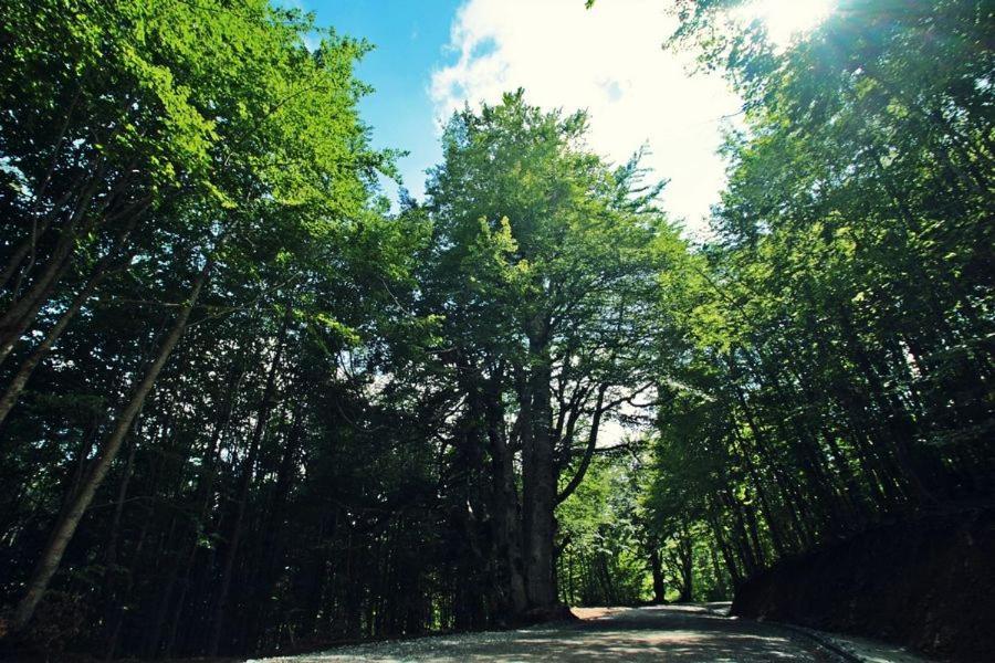ホテルOmilaia Gardiki エクステリア 写真
